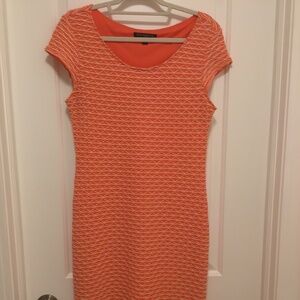 Sharagano Orange Dress with White Stitching - Size 8